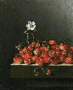 Adriaen Coorte Still life with wild strawberries. oil painting reproduction